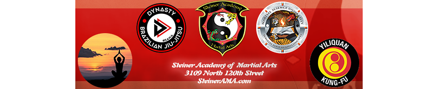 Steiner Academy of Martial Arts