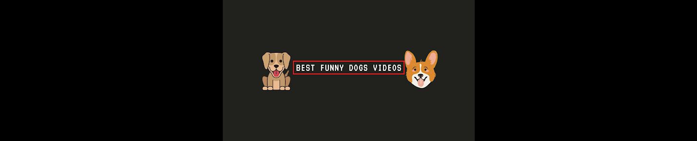 BestFunnyDogsVideos