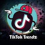 tiktok and funny videos