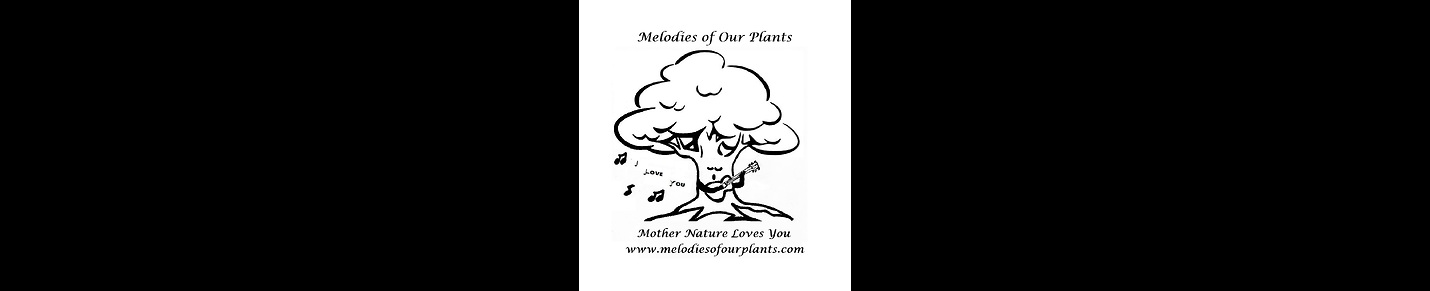 Melodies of Our Plants and Water Chime Crystals