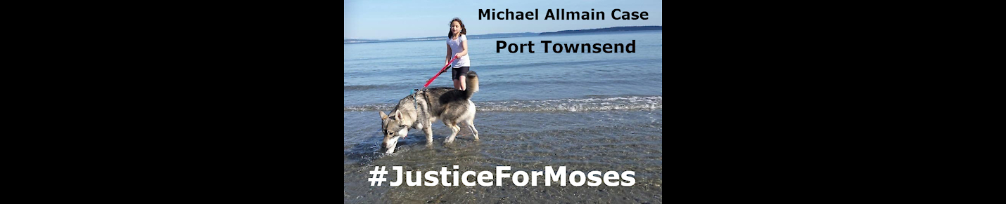 Michael Allmain Fights for his Dog Moses