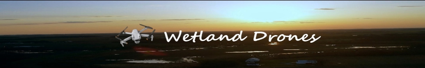Wetland Drone