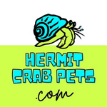 Hermit Crabs, Habitats and Happiness!