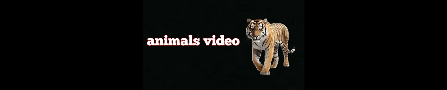 animals video