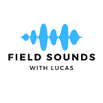 Field Sounds With Lucas