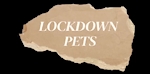 LOCKDOWN PETS