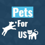 Best Channel For Pet Lovers And Enthusiasts
