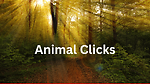 beast animals videos