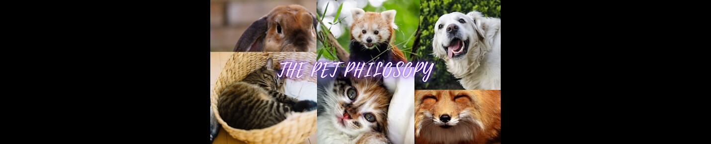 The Pet Philosopy