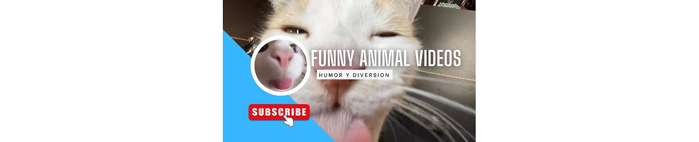 Funny Animal Videos Club