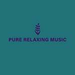 Unique Frequencies For Pure Relaxation