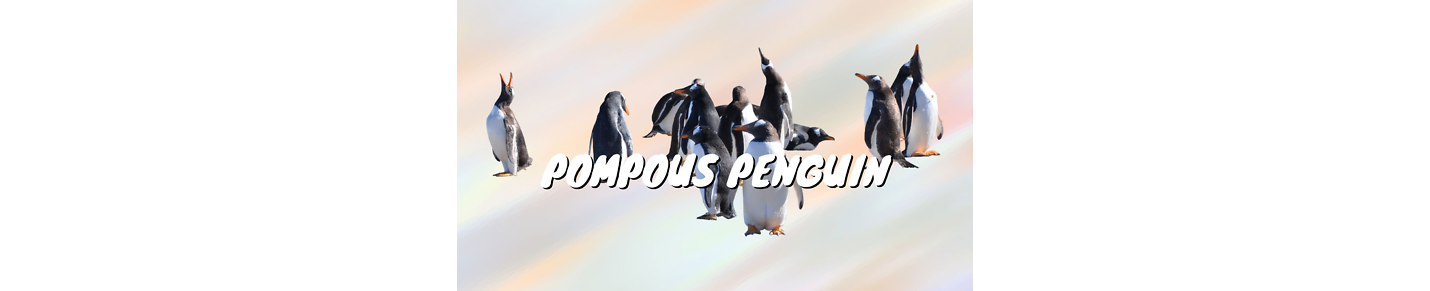 Pompous Penguin