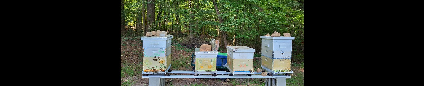 Honey Bear Apiary ( M’kwa Nda-Aamoo Zhiiwaagaizikaaning - Bear's Honey Bee Sugar Camp )