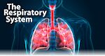 Respiratory Education