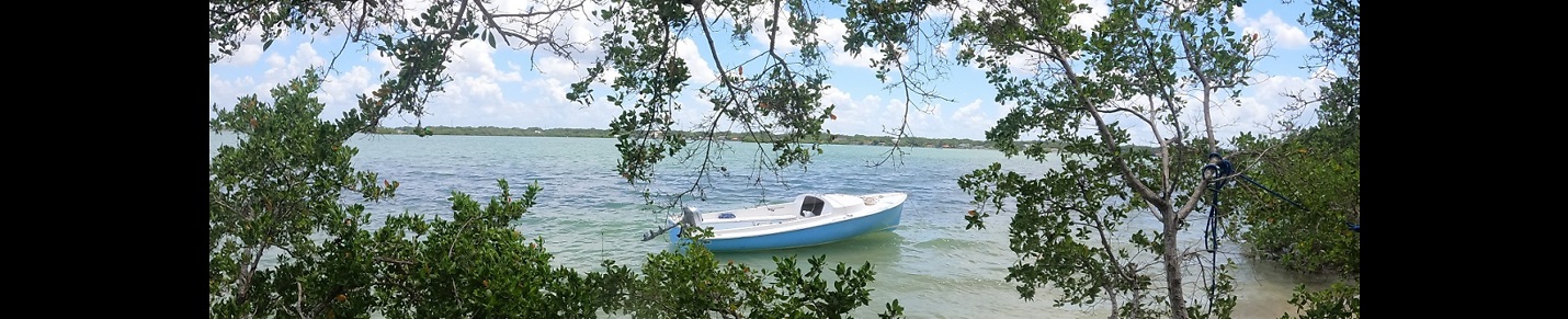 Tampa Bay Sailing