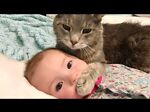 A compilation of very funny children's videos and animals