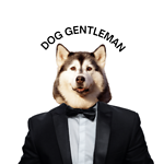 Dog Gentleman