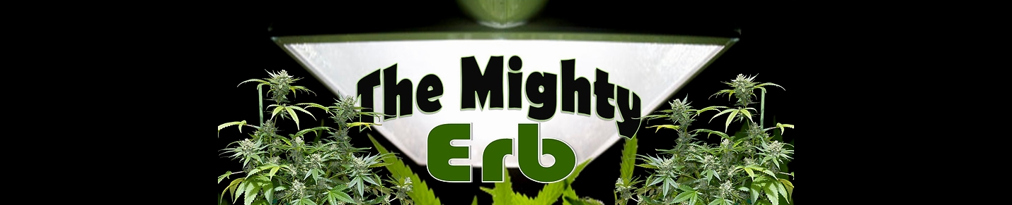 The Mighty Erb