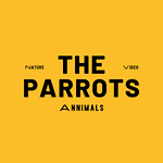 ThEParroTs