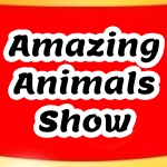 AmazingAnimalsShow Channel