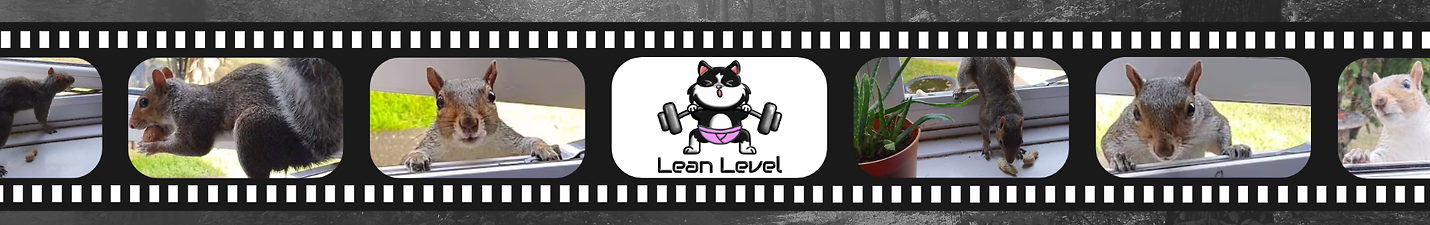 Lean level