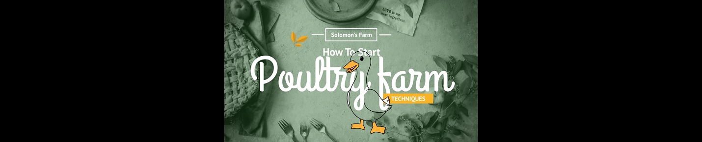 Solomon's Farm and Lifestyle
