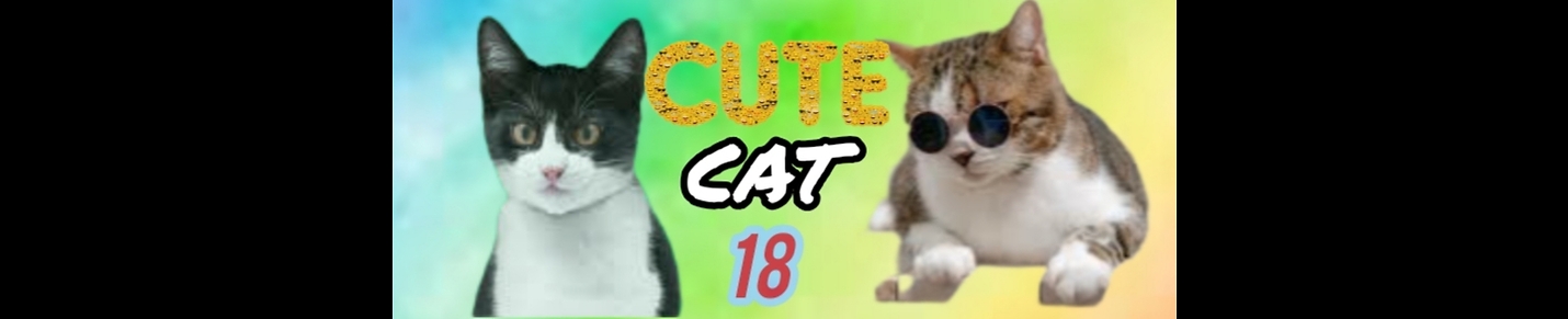 Cutecats18