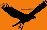 blackhawk65589