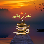 Shaam Ke Chai | شام کی چاۓ