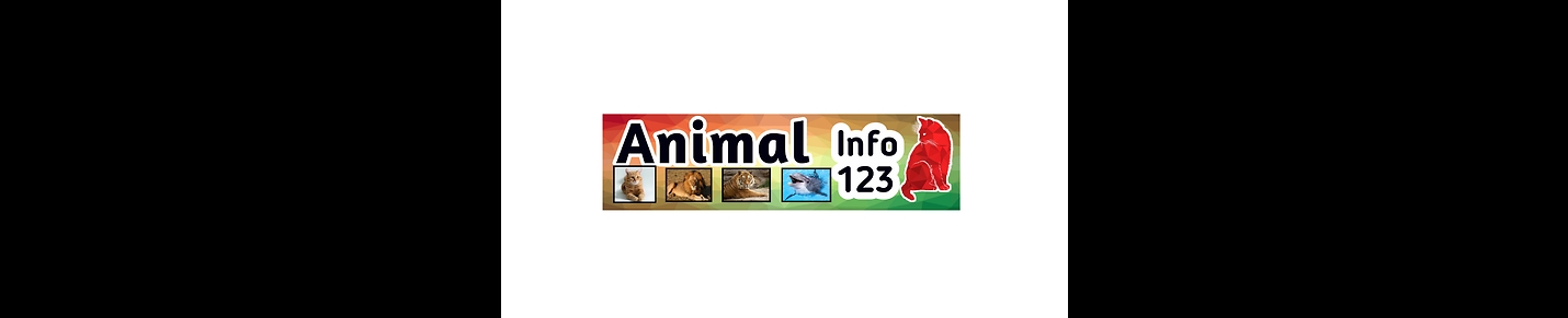 Animal info videos