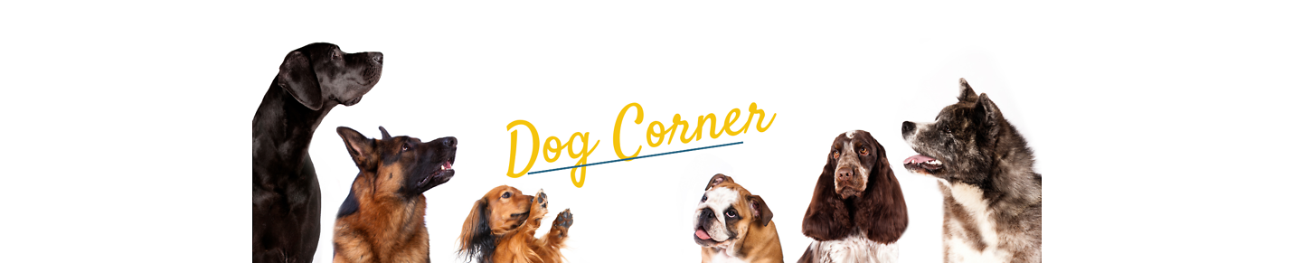 Dog Corner