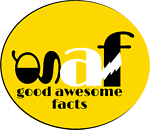 good awesome facts