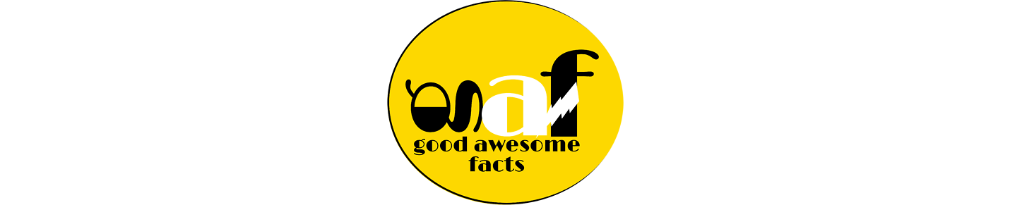 good awesome facts