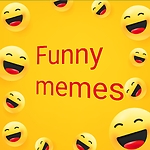 funny videos