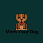 Meet Your Dog