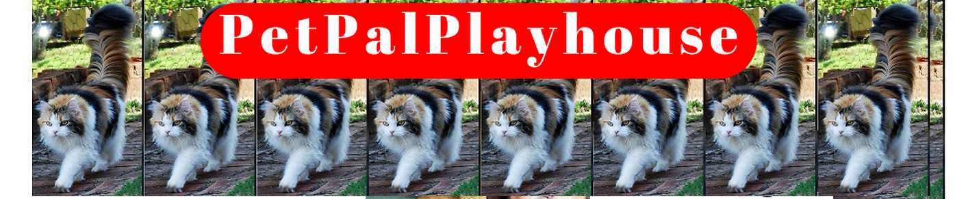 PetPalPlayhouse