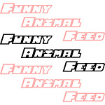 Funny Animal Feed