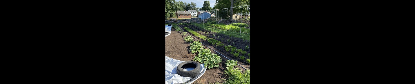 Gently Grown Homestead