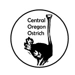 Central Oregon Ostrich