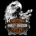 Harley Davidson Top10