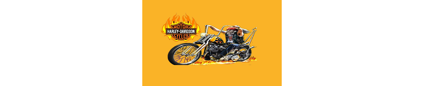 Harley Davidson Top10