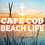 Cape Cod Beach Life