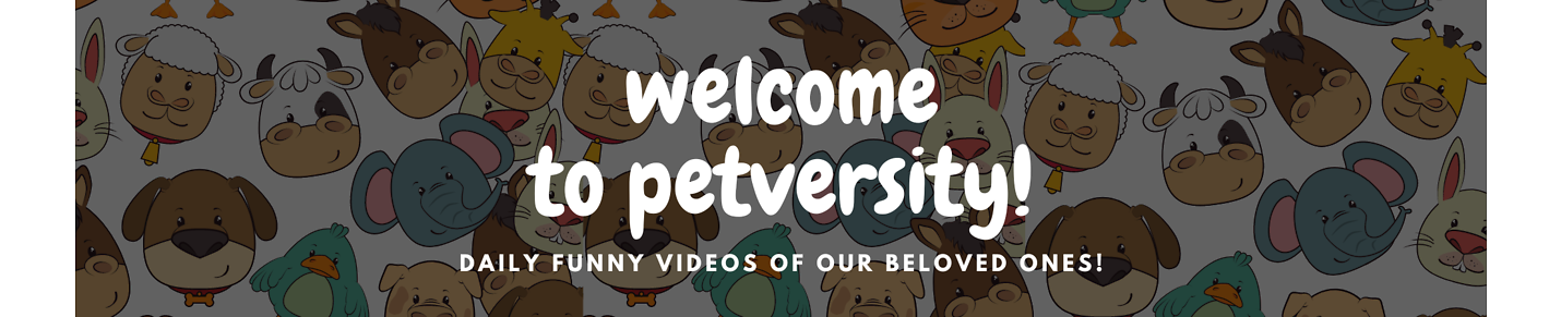 petversity