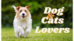 Dog and Cats Lovers