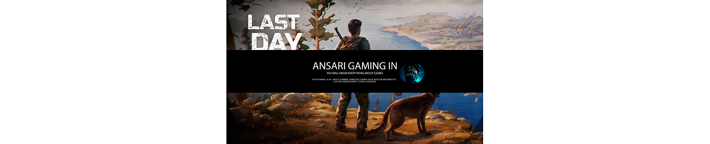 Ansari gaming