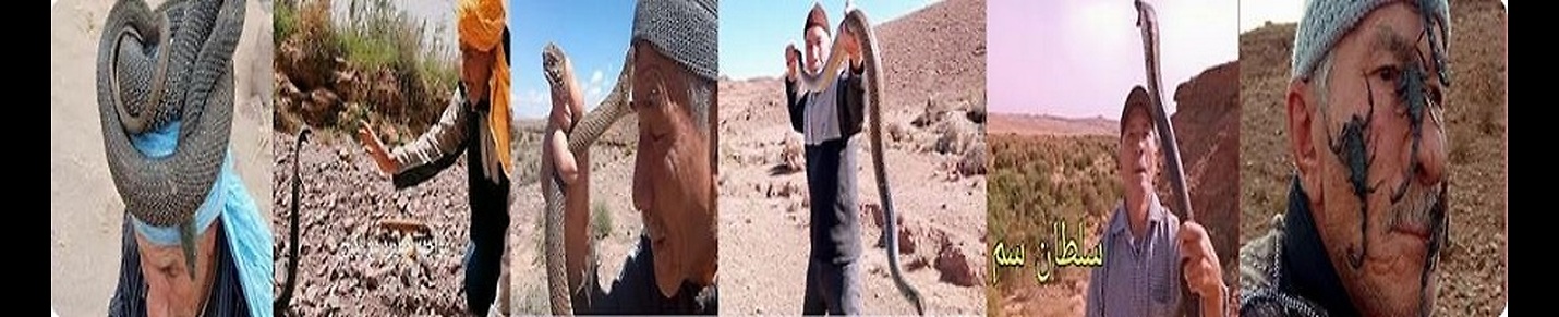 Al aissaoui Snake Hunter