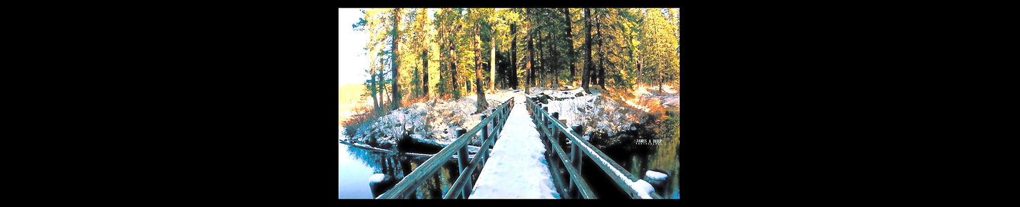 Treadmill Hikes - POV Nature hikes