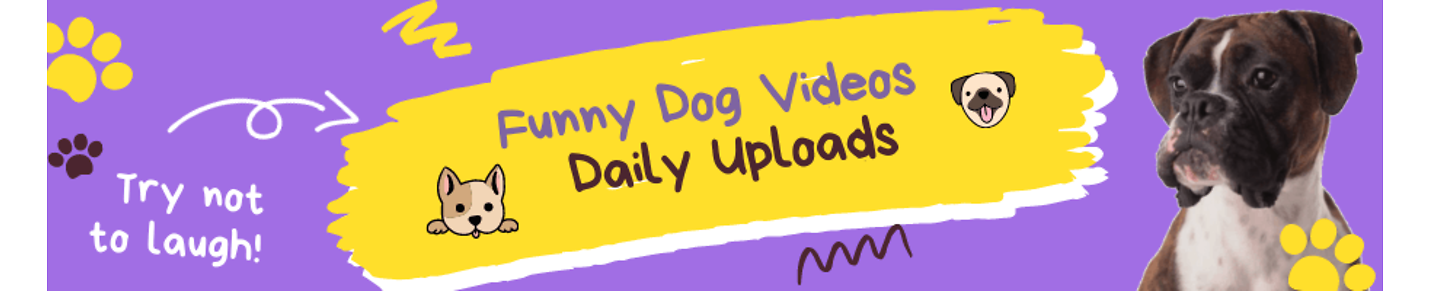 Crazy Funny Dog Videos