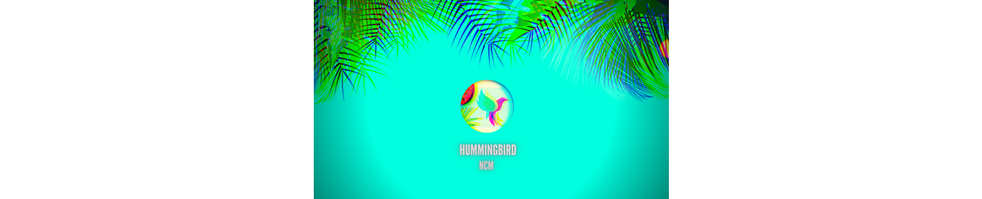 Hummingbird No Copyright Sounds