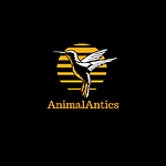 Animal Antic